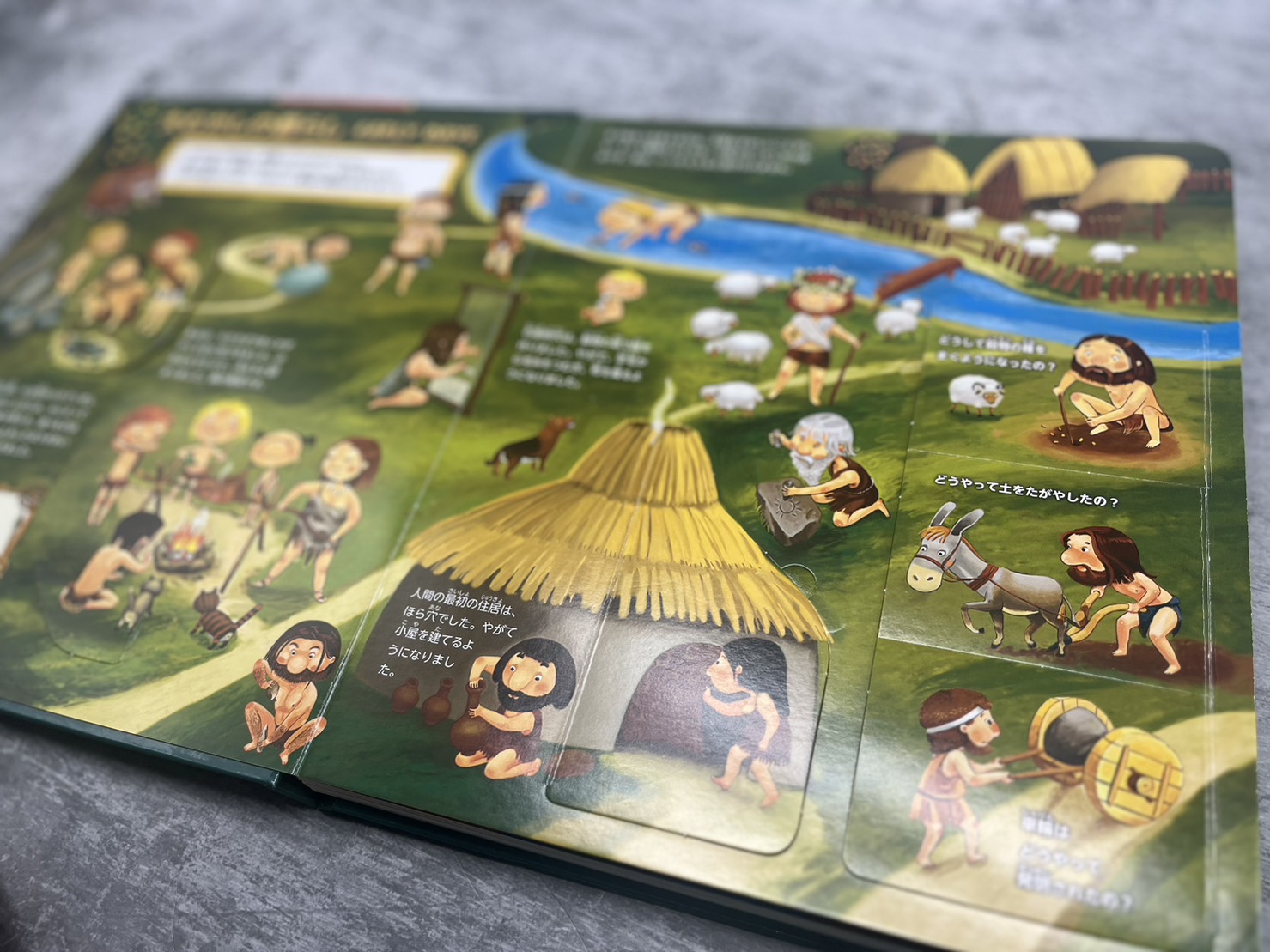 Die-cut book customization